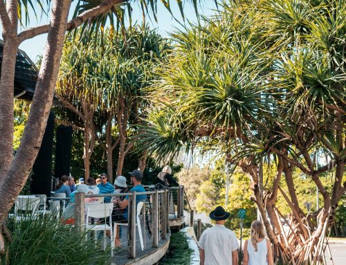 SUBURB HIGHLIGHT SUNSHINE BEACH